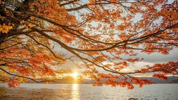 ランド ビュー / 38