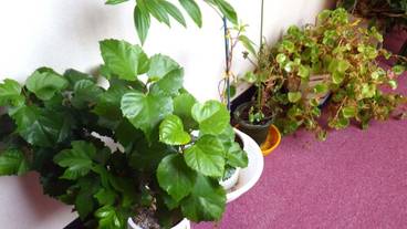 内装の詳細 / 10