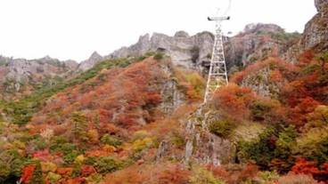 施設の敷地 / 20