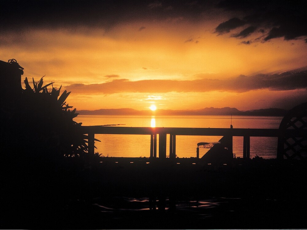 施設からの眺望