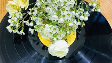 リビング エリア / 24