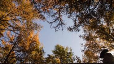 施設の敷地 / 15