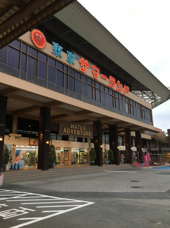 日本最大級のプールが魅力【東京サマーランド】3751254