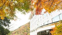 修善寺温泉ホテル 滝亭