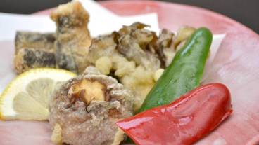 レストラン / 20