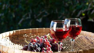 レストラン / 13