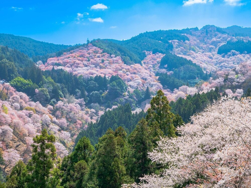 メイン イメージ