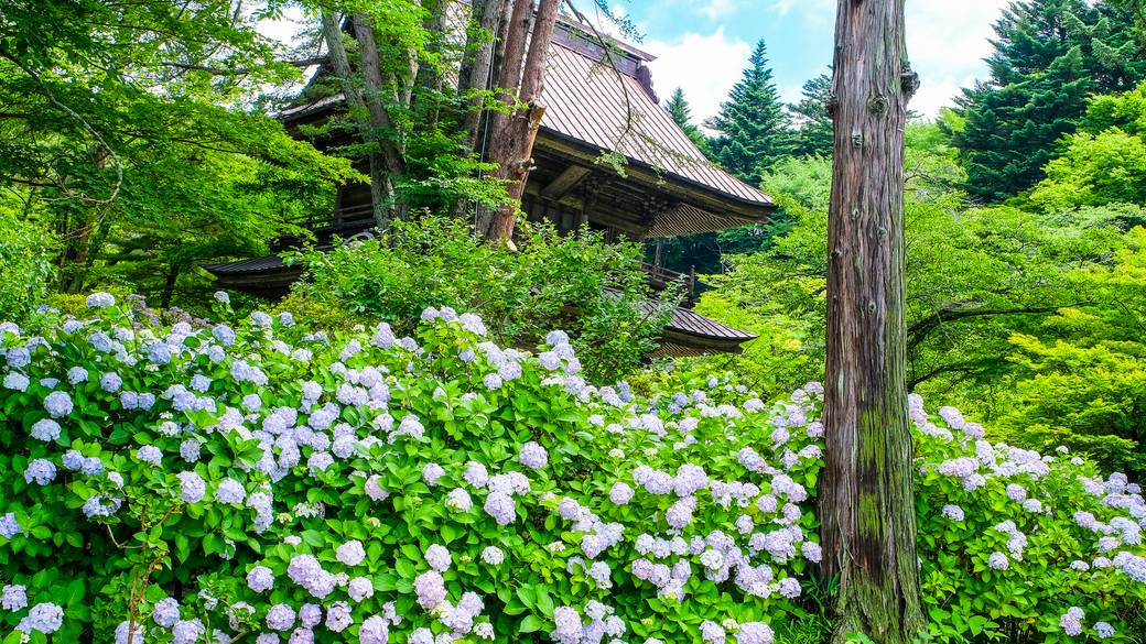 彼とゆったり
伊香保へドライブ旅 / 3