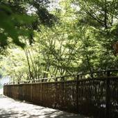 滝の上温泉 お宿 花風月(熊本県 旅館) / 4