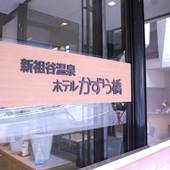 新祖谷温泉 ホテルかずら橋（徳島県 旅館） / 5
