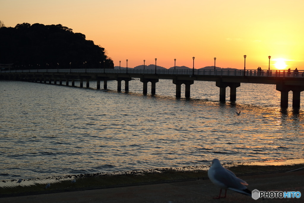 愛知県に遊びに来るなら、海の見える宿へ4086516
