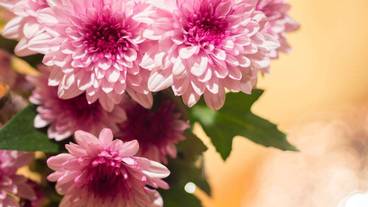 内装の詳細 / 13