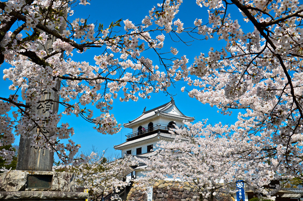 10.白石城1559309