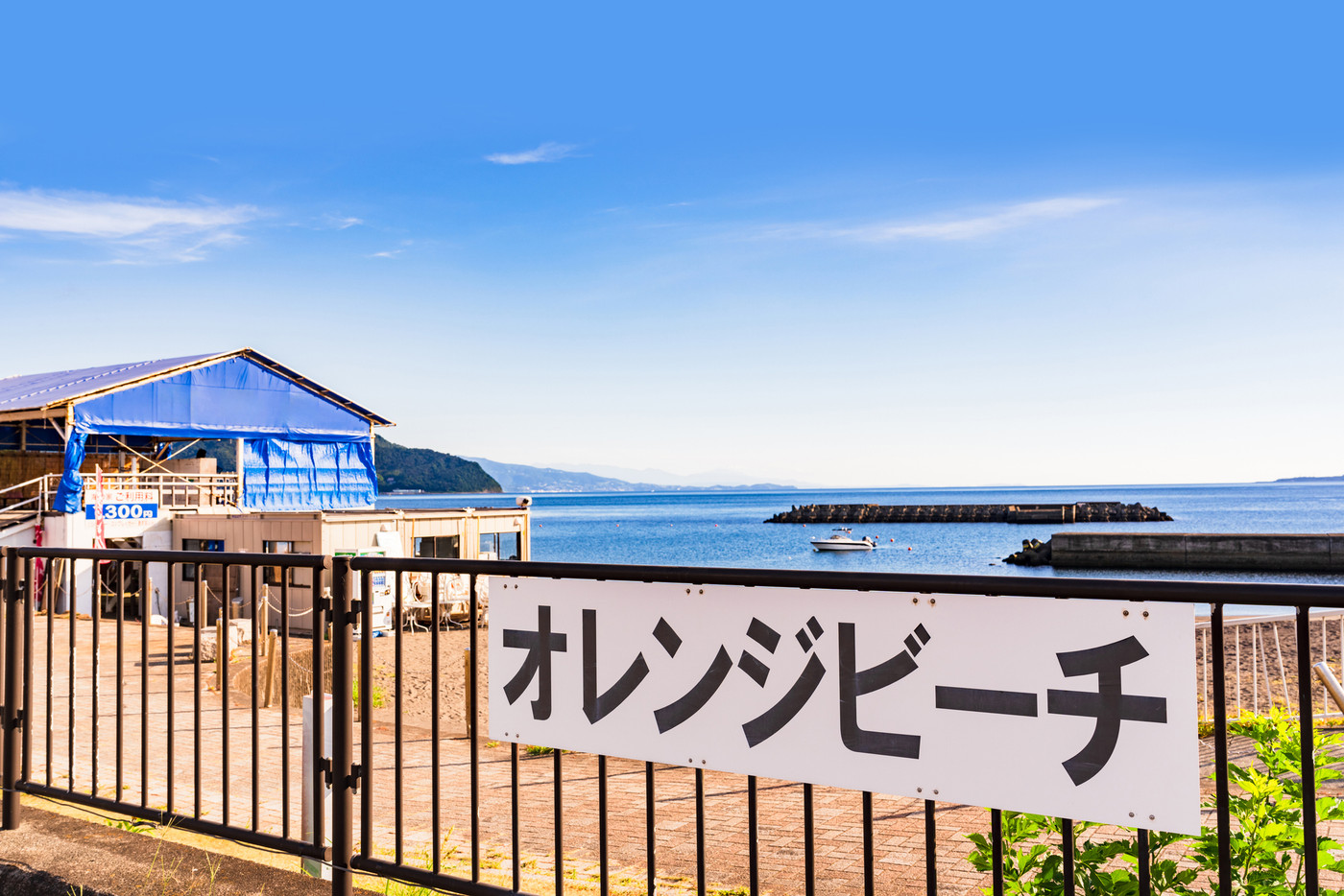 帰り道には「伊東オレンジビーチ」で海の冷たさを味わう3749074