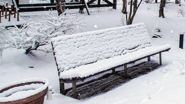 レストラン / 18