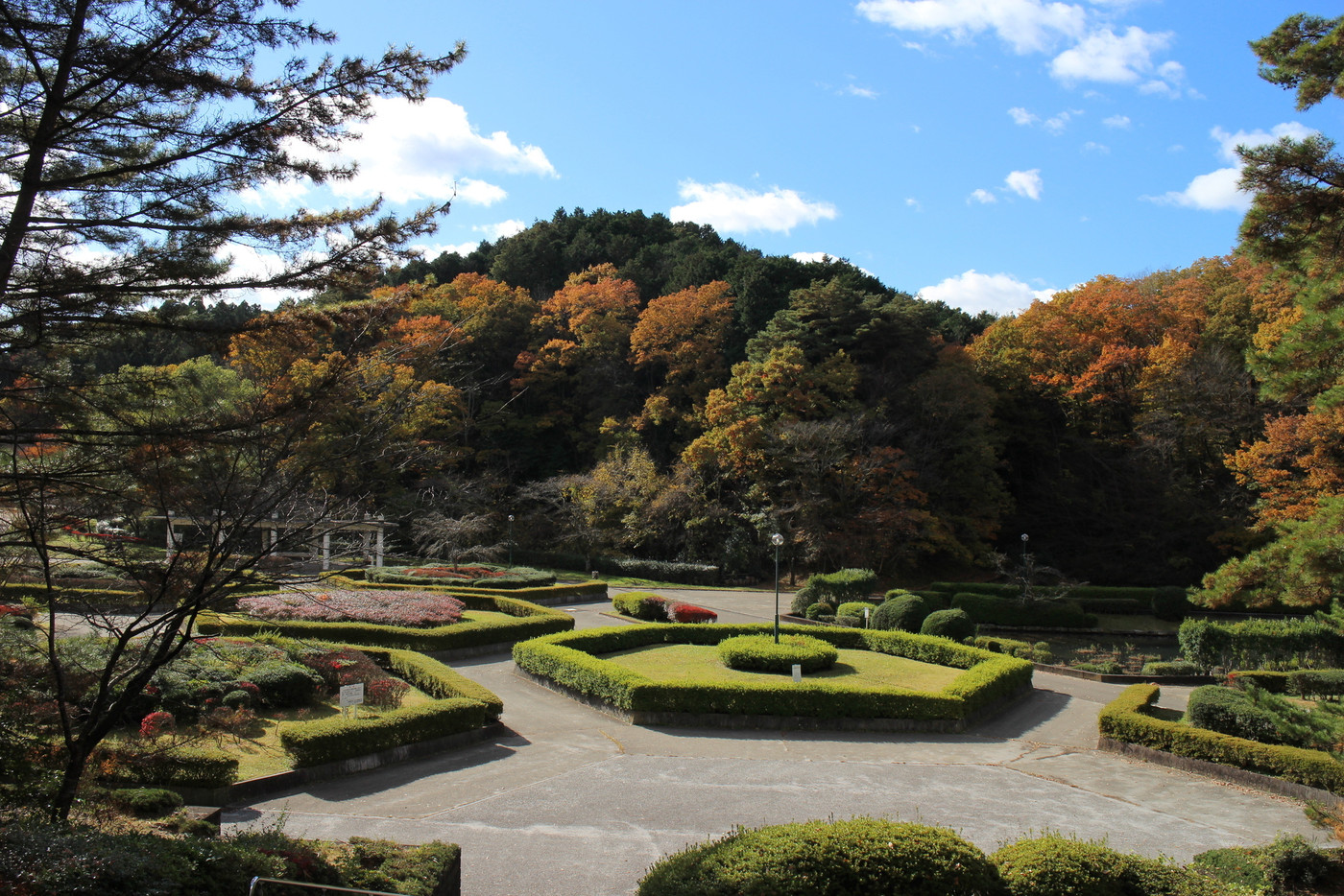 仙台市 秋の台原森林公園