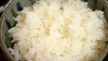 食事・飲み物 / 10