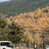 高峰マウンテンホテル（長野県 リゾートホテル） / 3