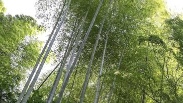 施設からの眺望 / 22