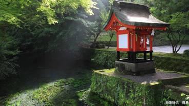 ランド ビュー / 32