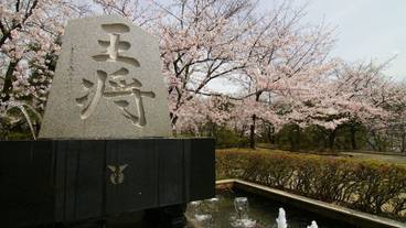 観光スポット / 21