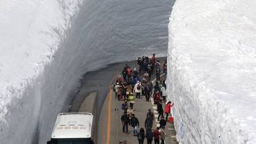 観光スポット / 7