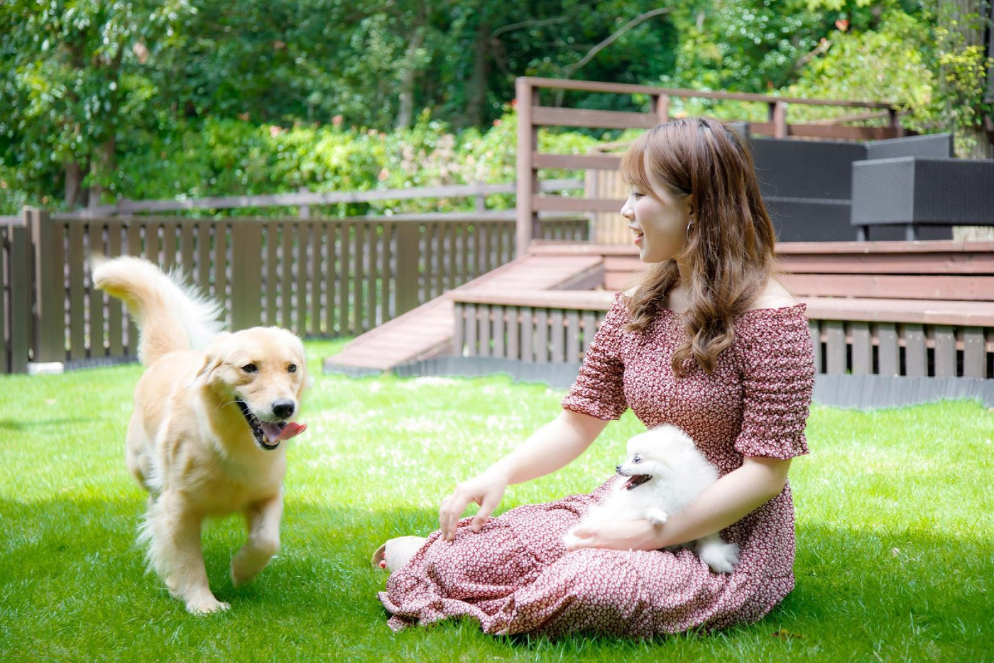 ペットと満喫する旅を過したいなら伊東へ♪3927951