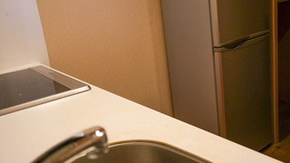 エグゼクティブ ヴィラ 4 ベッドルーム マウンテンビュー