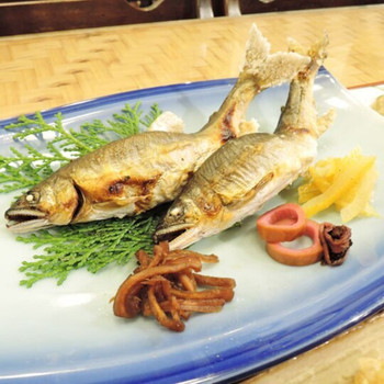 馬路の雄大な自然を全身で感じられる場所3644180