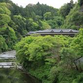 渓谷別庭 もちの木（千葉県 旅館） / 5