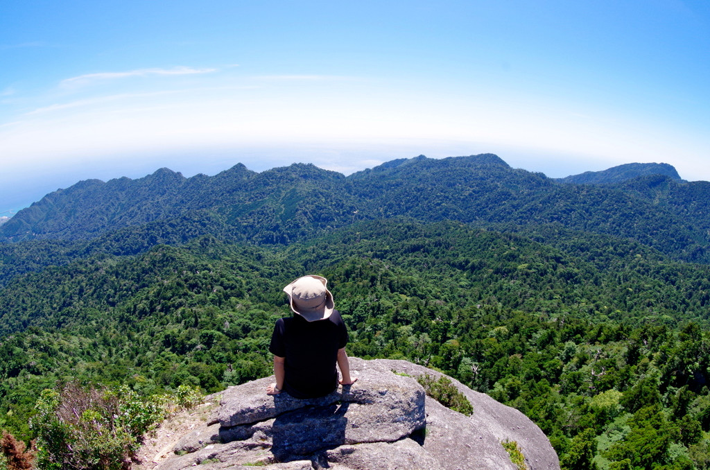 思い切って1人で神秘の屋久島に行ってみよう4082946