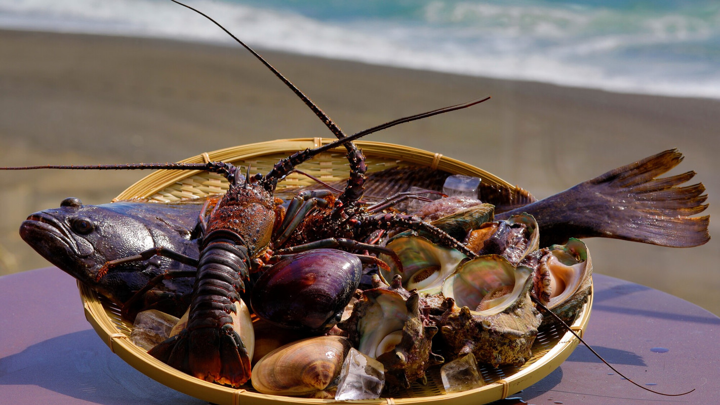 房総半島 新鮮魚介