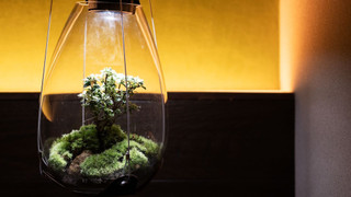 ラグジュアリー ツインルーム