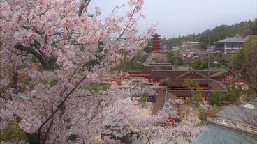 施設の敷地 / 16