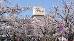 石和常磐ホテル