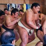 相撲部屋の見学ってどうやるの？迫力あるお稽古を見に行こう