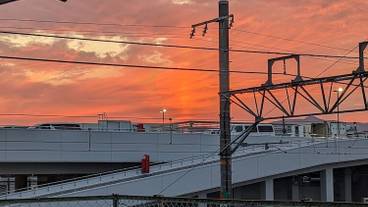 テラス / パティオ / 19