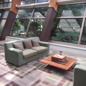 伊豆高原わんわんパラダイス ホテル&コテージ(静岡県 リゾートホテル) / 3