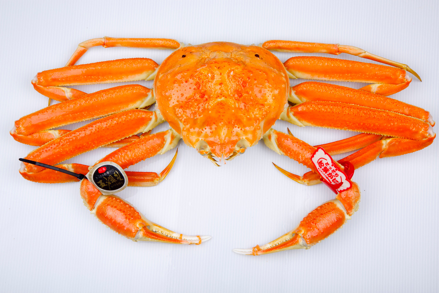 松葉ガニ　食材