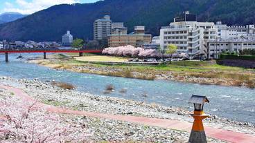 マウンテン ビュー / 19