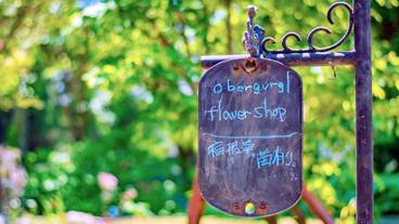 施設の敷地 / 12