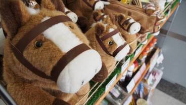 施設内の設備 / 3