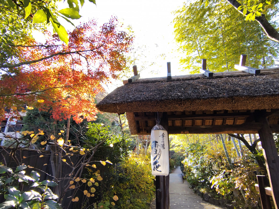 竹林と紅葉のお庭