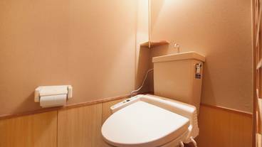 客室トイレ一例 / 9