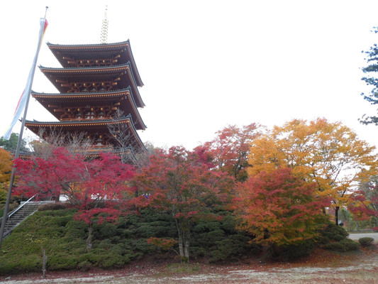 成相寺 / 1