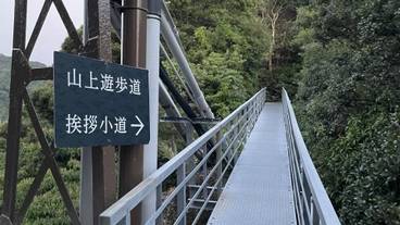 遊歩道 / 16