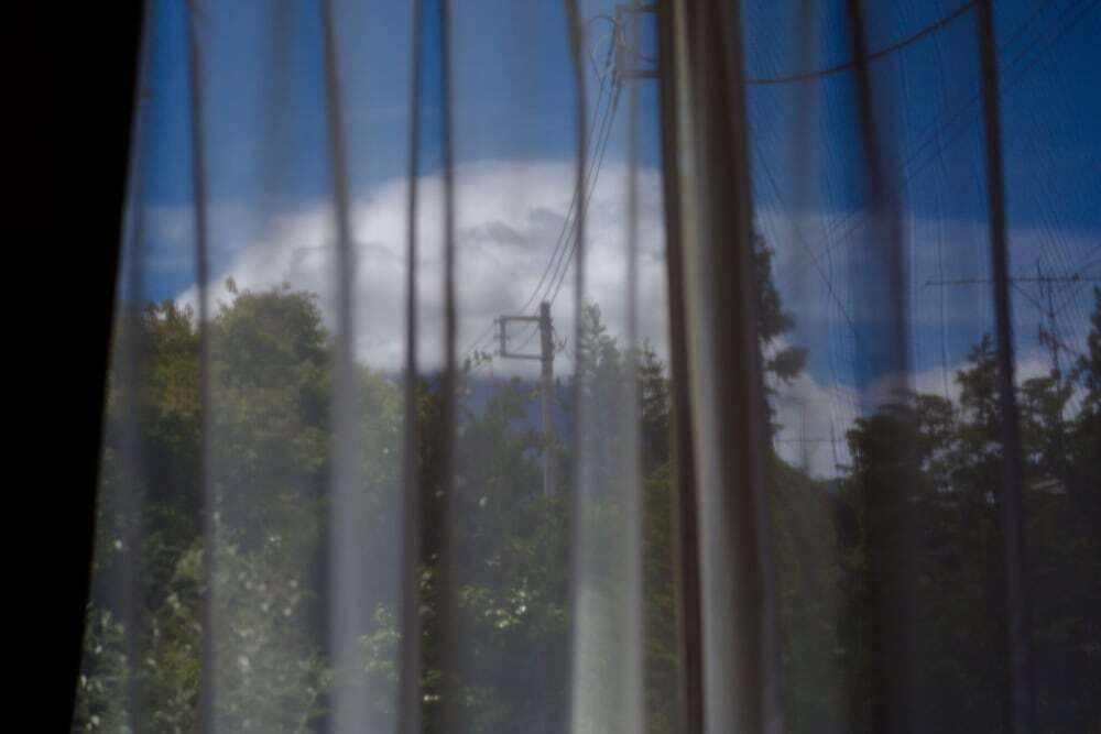 施設からの眺望