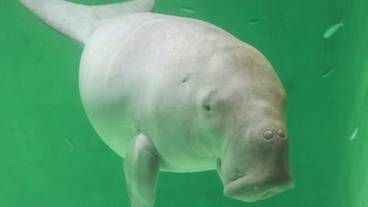 観光スポット / 7