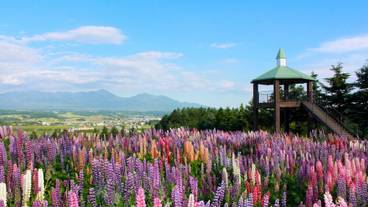 観光スポット / 1