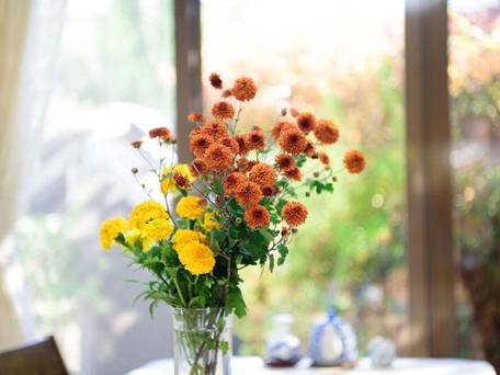 由布院温泉 旅館 古都の花心 / 2